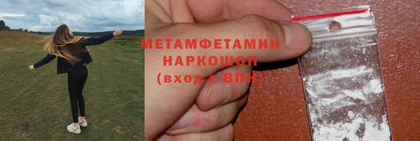 сатива Волосово