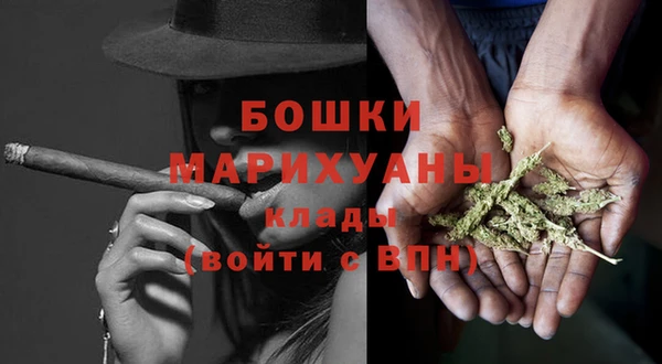 сатива Волосово