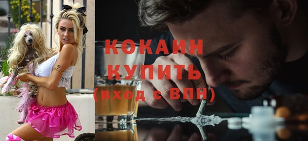 сатива Волосово