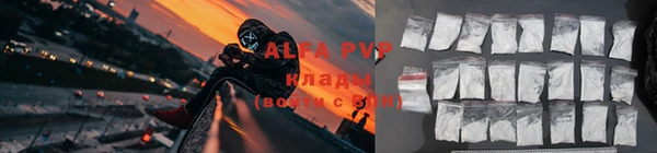 сатива Волосово