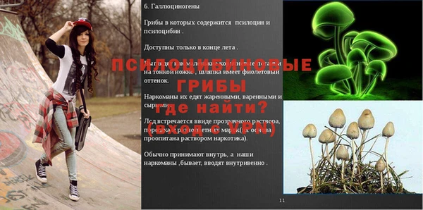 сатива Волосово