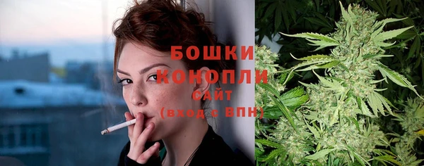 сатива Волосово