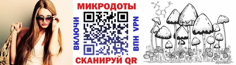 Псилоцибиновые грибы Magic Shrooms  Купить где  Онега 