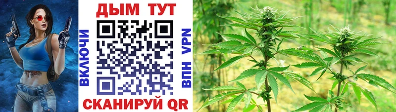Купить  Онега  Каннабис White Widow 